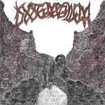 DYSEMBLEM - Buried by the Weight of Light CD